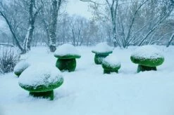 Titelseite -Outlet GARTENTRAUM Store 3 steinpilze im set topiary gfk kunstrasen boletus set2