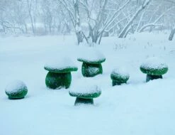 3 Steinpilze Im Set - Topiary - GFK & Kunstrasen - Boletus Set -Outlet GARTENTRAUM Store 3 steinpilze im set topiary gfk kunstrasen boletus set3