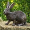 Bronze Hasenskulptur Im Natürlichen Look - Hase Elbo -Outlet GARTENTRAUM Store bronze hasenskulptur im natuerlichen look hase elbo
