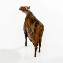 Bronzeskulptur Mit Rostpatina - Kuh Als Dekofigur - Kuh -Outlet GARTENTRAUM Store bronzeskulptur mit rostpatina kuh als dekofigur kuh3