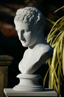 Büste Aus Steinguss Für Den Garten - Berenice 6 Büste Aus Steinguss Für Den Garten - Berenice -Outlet GARTENTRAUM Store bueste aus steinguss fuer den garten berenice2