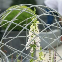 Deko Kugel Für Den Außenbereich Aus Metall Mit Rundstreben - Ollegiro Meno 8 Deko Kugel Für Den Außenbereich Aus Metall Mit Rundstreben - Ollegiro Meno -Outlet GARTENTRAUM Store deko kugel fuer den aussenbereich aus metall mit rundstreben ollegiro meno3