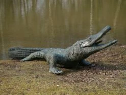 Große Bronze Skulptur Mit Krokodil - Kadhi -Outlet GARTENTRAUM Store grosse bronze skulptur mit krokodil kadhi2