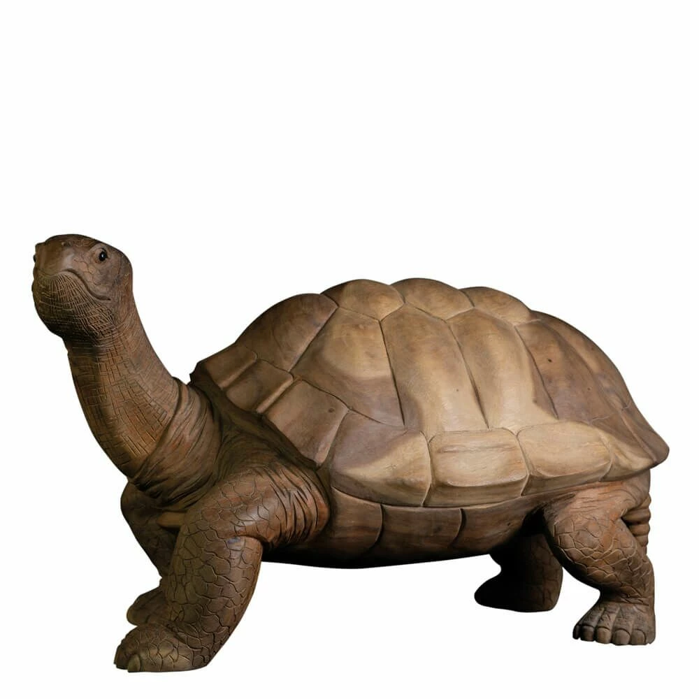 In Handarbeit Geschnitzte Schildkröte Aus Suarholz - Unikat Holzfigur - Nalani 3 In Handarbeit Geschnitzte Schildkröte Aus Suarholz - Unikat Holzfigur - Nalani