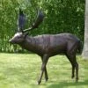 Junger Hirschbulle Als Garten Bronzeskulptur - Lebensgröße - Hirsch Mera -Outlet GARTENTRAUM Store junger hirschbulle als garten bronzeskulptur lebensgroesse hirsch mera