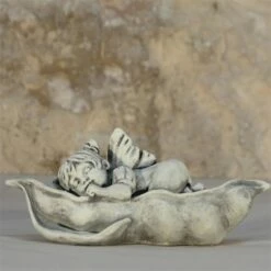 Kleine Stein Elfe - Schlafend In Schote - Dryadalis Somnum