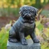 Kleiner Deko Hund - Mops Aus Bronze - Mopo -Outlet GARTENTRAUM Store kleiner deko hund mops aus bronze mopo