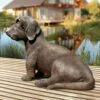 Lebengroße Hundefigur - Dackel Aus Bronze - Limitiert - Dackel Frodo -Outlet GARTENTRAUM Store lebengrosse hundefigur dackel aus bronze limitiert dackel frodo