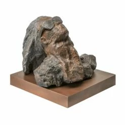 Limitierte Sterngucker Büste Aus Bronze Mit Sockel - Sternsucher 2