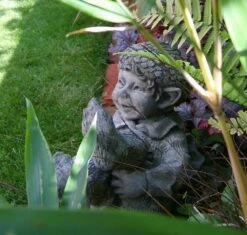 Lustige Wichtelfigur Acorn Aus Steinguss -Outlet GARTENTRAUM Store lustige wichtelfigur acorn aus steinguss3