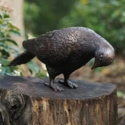 Nach Unten Blickende Taube Als Bronzefigur - Taube Tigris