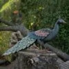 Pfau Mit Pfauenfedern Aus Metall - Bunte Garten Vogelfigur - Pfau Renee -Outlet GARTENTRAUM Store pfau mit pfauenfedern aus metall bunte garten vogelfigur pfau renee