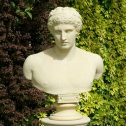 Römische Stein Büste Antik - Antinous