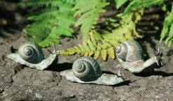 Set Aus 4 Schnecken - Outdoor Bronzeskulpturen - Schnecken Set -Outlet GARTENTRAUM Store set aus 4 schnecken outdoor bronzeskulpturen schnecken set6