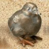 Sitzendes Küken - Bronzefigur Für Den Garten - Küken
