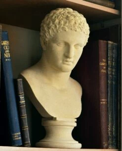 Steinguss Büste Für Den Garten - Athletico -Outlet GARTENTRAUM Store steinguss bueste fuer den garten athletico3