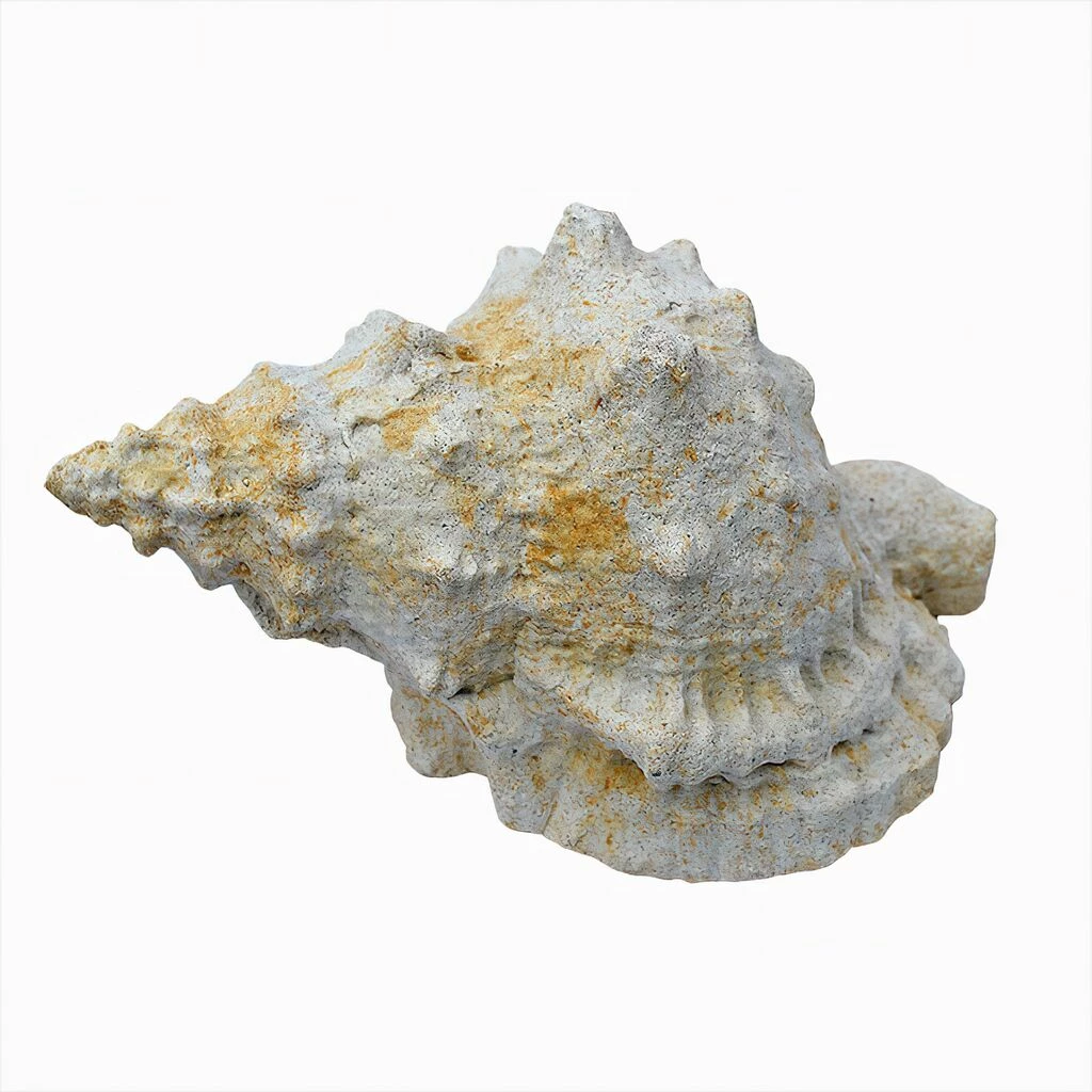 Steinguss Gartenfigur Schneckenhaus - Meruna 3 Steinguss Gartenfigur Schneckenhaus - Meruna