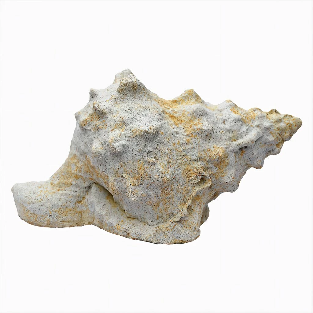 Steinguss Gartenfigur Schneckenhaus - Meruna 4 Steinguss Gartenfigur Schneckenhaus - Meruna – Bild 2