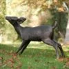 Tierstatue Reh Aus Bronze Für Den Garten - Daja Reh 1 Tierstatue Reh Aus Bronze Für Den Garten - Daja Reh -Outlet GARTENTRAUM Store tierstatue reh aus bronze fuer den garten daja reh