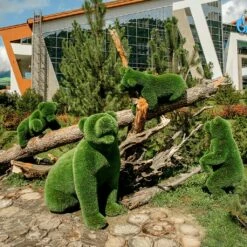 Vier Topiary Bären Als Außergewöhnliche Gartendeko - Bärenfamilie -Outlet GARTENTRAUM Store vier topiary baeren als aussergewoehnliche gartendeko baerenfamilie3