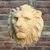 Wandrelief Löwenkopf Aus Steinguss - Enzo -Outlet GARTENTRAUM Store wandrelief loewenkopf aus steinguss enzo