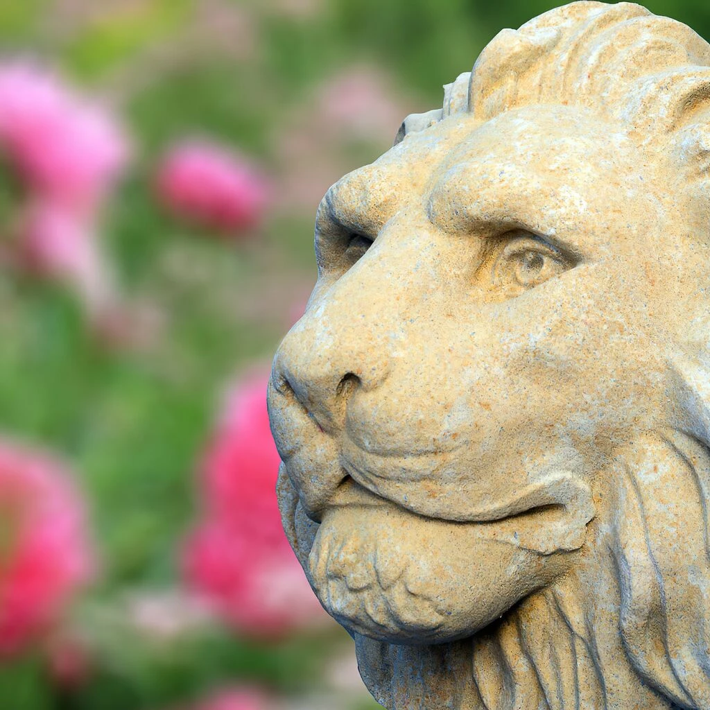 Wandrelief Löwenkopf Aus Steinguss - Enzo 5 Wandrelief Löwenkopf Aus Steinguss - Enzo – Bild 3