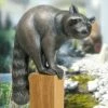 Waschbär Tierfigur Aus Bronze Für Outdoorbereich - Waschbär