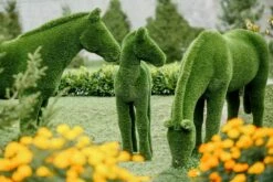 XXL Gartenfigur Pferd - Topiary - GFK & Kunstrasen - Pferdinand -Outlet GARTENTRAUM Store xxl gartenfigur pferd topiary gfk kunstrasen pferdinand9