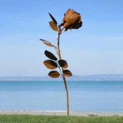 XXL Gartenrose Aus Stahl Mit Details Aus Handarbeit - Rosera 11 XXL Gartenrose Aus Stahl Mit Details Aus Handarbeit - Rosera -Outlet GARTENTRAUM Store xxl gartenrose aus stahl mit details aus handarbeit rosera5