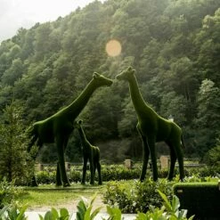 XXL Gartenskulptur Giraffe - Lebensgroß - Topiary - Grün - Gustav -Outlet GARTENTRAUM Store xxl gartenskulptur giraffe lebensgross topiary gruen gustav5